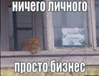 Прикрепленное изображение: FOsl82jddUs.jpg