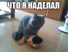 Прикрепленное изображение: 1364899393_818042758.jpg
