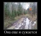 Прикрепленное изображение: original_06.jpeg