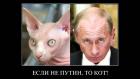 Прикрепленное изображение: maxresdefault_1.jpg