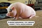 Прикрепленное изображение: IgW-Tgurh38.jpg