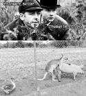 Прикрепленное изображение: image.jpeg