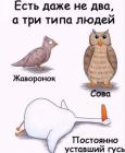 Прикрепленное изображение: 1593744585.jpg