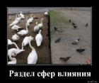 Прикрепленное изображение: 1591687012_demy-4.jpg