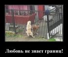 Прикрепленное изображение: 1595174216.jpg