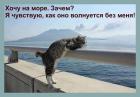Прикрепленное изображение: IMG-20200721-WA0000.jpg