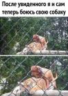 Прикрепленное изображение: GqzFBPBnyNw.jpg