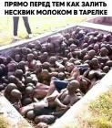 Прикрепленное изображение: nS6cJuzpOYU.jpg