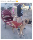 Прикрепленное изображение: летняя подработка.png