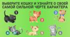 Прикрепленное изображение: Тест  с кошками.jpg