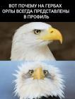Прикрепленное изображение: 1627043595.jpg