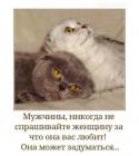Прикрепленное изображение: 212664611_3021394324798217_2270008208730333131_n.jpg