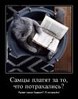 Прикрепленное изображение: rbQEBcP_gic.jpg