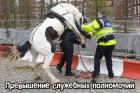 Прикрепленное изображение: w5MxNJdhwb30I778dM5gFeER58hTiwu4JuZdPV1zUPX4RMyjiDTrpXMbeJBqM8XUE6cA0A.jpg