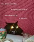 Прикрепленное изображение: 05.jpg