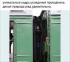 Прикрепленное изображение: 1689453252.jpg