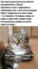 Прикрепленное изображение: Лимит гостеприимства исчерпан.jpg
