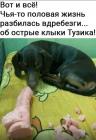 Прикрепленное изображение: Половая жизнь разбилась.jpg