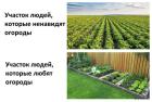 Прикрепленное изображение: 1719995227.jpg