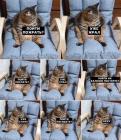 Прикрепленное изображение: IMG_20250721_150650_857.jpg