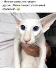 Прикрепленное изображение: 1753442905.jpg
