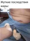 Прикрепленное изображение: Жара.jpg