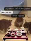 Прикрепленное изображение: IMG_20250726_193043_669.jpg