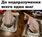 Прикрепленное изображение: 1782974674.jpg