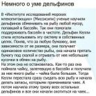 Прикрепленное изображение: 1784996849.jpg