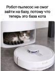 Прикрепленное изображение: 1784145696.jpg