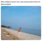 Прикрепленное изображение: 1782558114.jpg