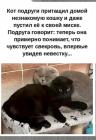 Прикрепленное изображение: 1784010236.jpg