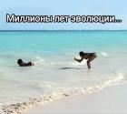 Прикрепленное изображение: 1784500466.jpg
