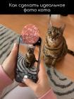 Прикрепленное изображение: 1783586625.jpg