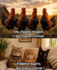 Прикрепленное изображение: 1782167624.jpg