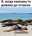 Прикрепленное изображение: 1784581047.jpg