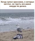Прикрепленное изображение: 1783673927.jpg