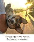 Прикрепленное изображение: 1784723689.jpg