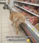 Прикрепленное изображение: 706134512_122124949911171721_2067101887420712577_n.jpg