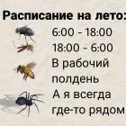 Прикрепленное изображение: Расписание на лето.jpg