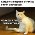 Прикрепленное изображение: Впервые осталась с ночевкой.jpg