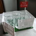 Прикрепленное изображение: мои 6 соток.jpg