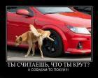 Прикрепленное изображение: _______________6ee6be81.jpg