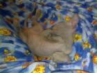 Прикрепленное изображение: 18072010318.jpg