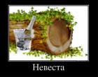 Прикрепленное изображение: _____1.JPG