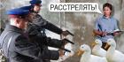 Прикрепленное изображение: 111.jpg