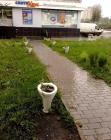 Прикрепленное изображение: 13406978_897729503665219_4984332453664982836_n.jpg