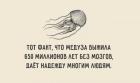 Прикрепленное изображение: image.jpeg
