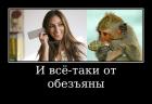 Прикрепленное изображение: VBkovETRGreFD8acaNXdk.jpg