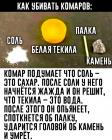 Прикрепленное изображение: H6RhNSJCpKc.jpg